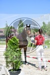 ref. photo 3664325