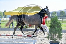 ref. photo 3664360