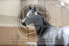 ref. photo 3664380