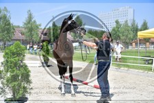 ref. photo 3664411