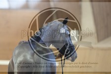 ref. photo 3664413