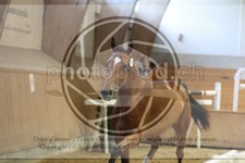 ref. photo 3664517