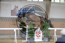 ref. photo 3664615
