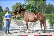 ref. photo 3664624