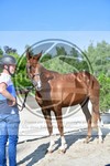 ref. photo 3664641