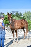 ref. photo 3664642