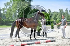 ref. photo 3664721