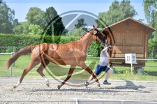 ref. photo 3664771