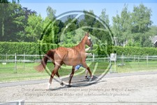 ref. photo 3664773