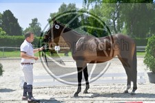 ref. photo 3664791