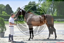 ref. photo 3664792