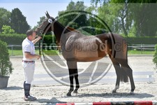 ref. photo 3664794