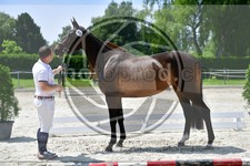 ref. photo 3664795