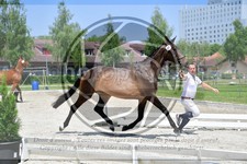 ref. photo 3664802