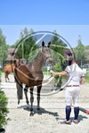 ref. photo 3664811