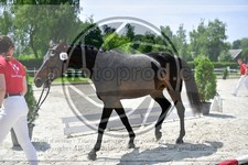 ref. photo 3664815