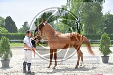 ref. photo 3664816