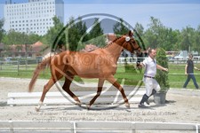 ref. photo 3664830