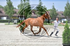 ref. photo 3664838