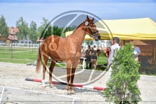 ref. photo 3664841