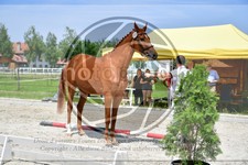 ref. photo 3664842