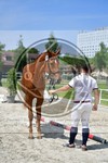 ref. photo 3664843