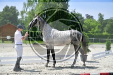 ref. photo 3664894