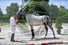 ref. photo 3664896