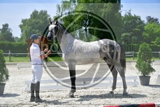 ref. photo 3664897