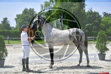 ref. photo 3664900