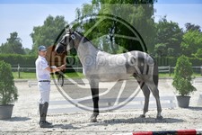 ref. photo 3664901