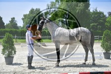 ref. photo 3664902