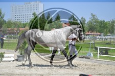 ref. photo 3664904