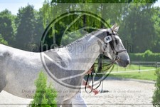 ref. photo 3664906