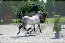 ref. photo 3664912