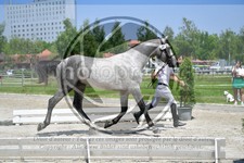 ref. photo 3664918