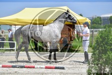 ref. photo 3664919
