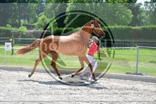 ref. photo 3664960