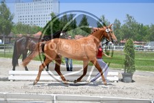 ref. photo 3664962
