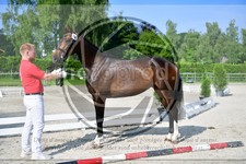 ref. photo 3664996