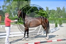 ref. photo 3664999