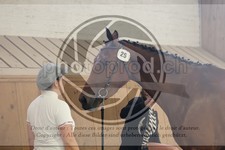 ref. photo 3665532