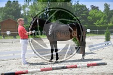 ref. photo 3666000