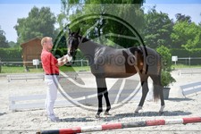 ref. photo 3666001