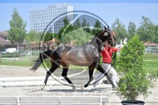 ref. photo 3666006
