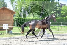ref. photo 3666010