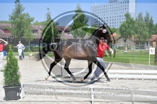 ref. photo 3666012