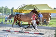 ref. photo 3666027