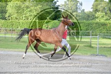 ref. photo 3666029