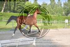 ref. photo 3666030